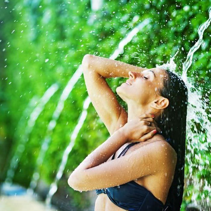 Collection Signature Collection Signature