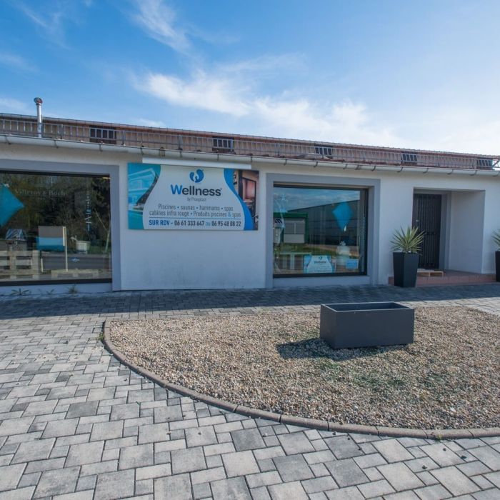 Pourquoi choisir Wellness Piscine et Spa comme pisciniste à Sarreguemines ?